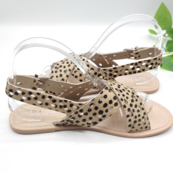 Matisse Leopard Arielle Cow Hair Sandals 9M‎ NEW - Picture 5 of 9